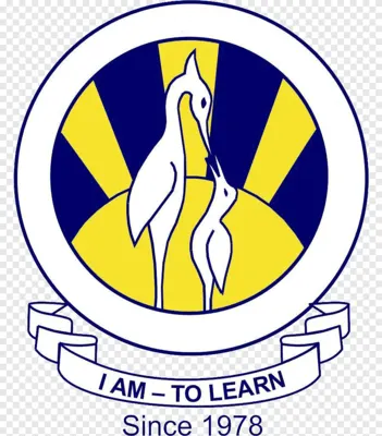 The City School